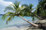 Solo unos pasos a la playa: 5 de las playas mas cercas a Bocas Town